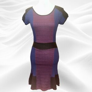 Sandro Purple and Black Ribbed Dress